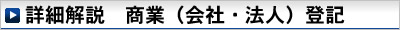 詳細解説　商業（会社・法人）登記